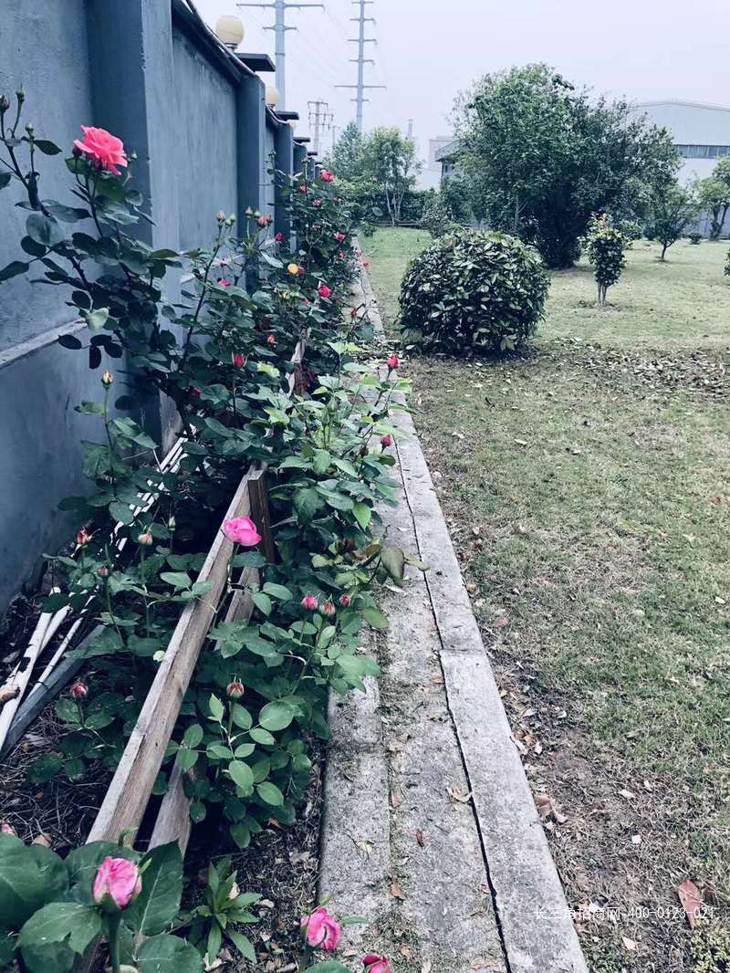 微信图片_20190516222815.jpg