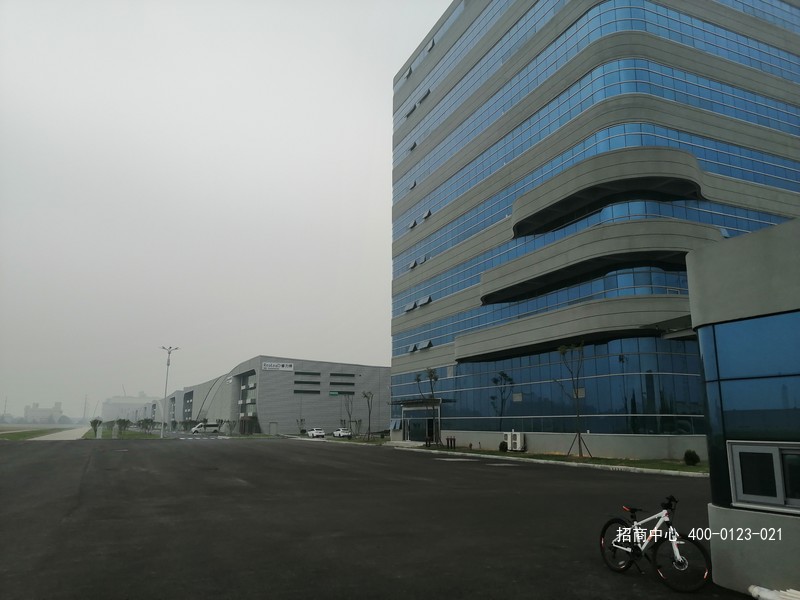 IMG_20191011_123710.jpg