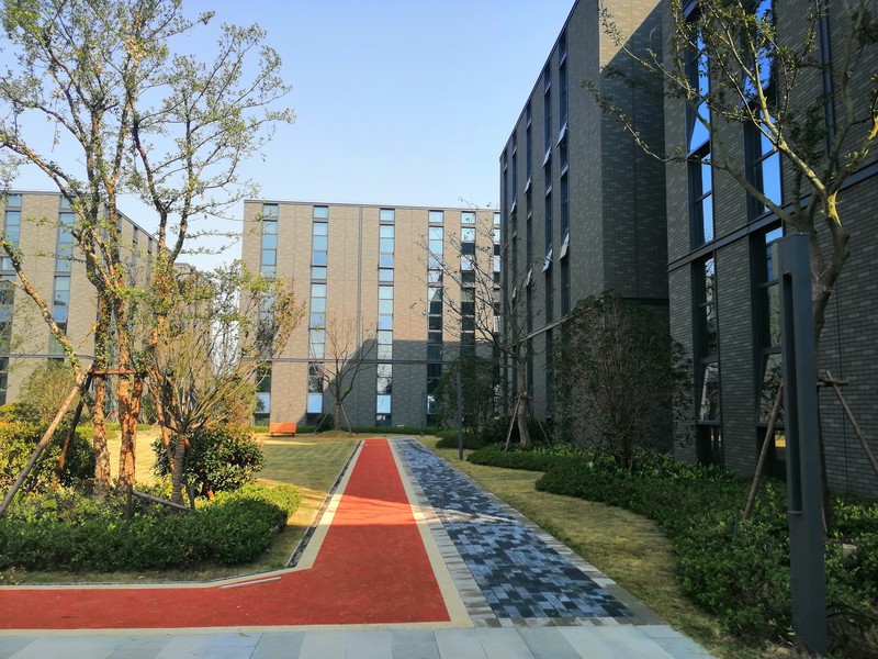 IMG_20181011_092708.jpg